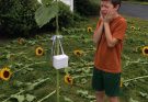 Every Year, My Son Planted Sunflowers for His Twin Sister—Then One Morning, Every Flower Was Cut Down Except One With a Small White Box Hanging From It.